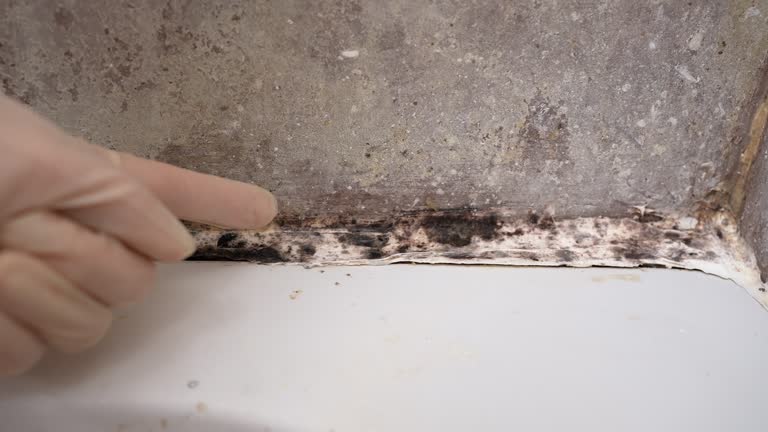 Best Post-Construction Mold Inspection  in Choctaw Lake, OH